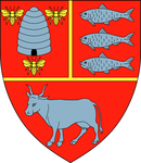 vaslui